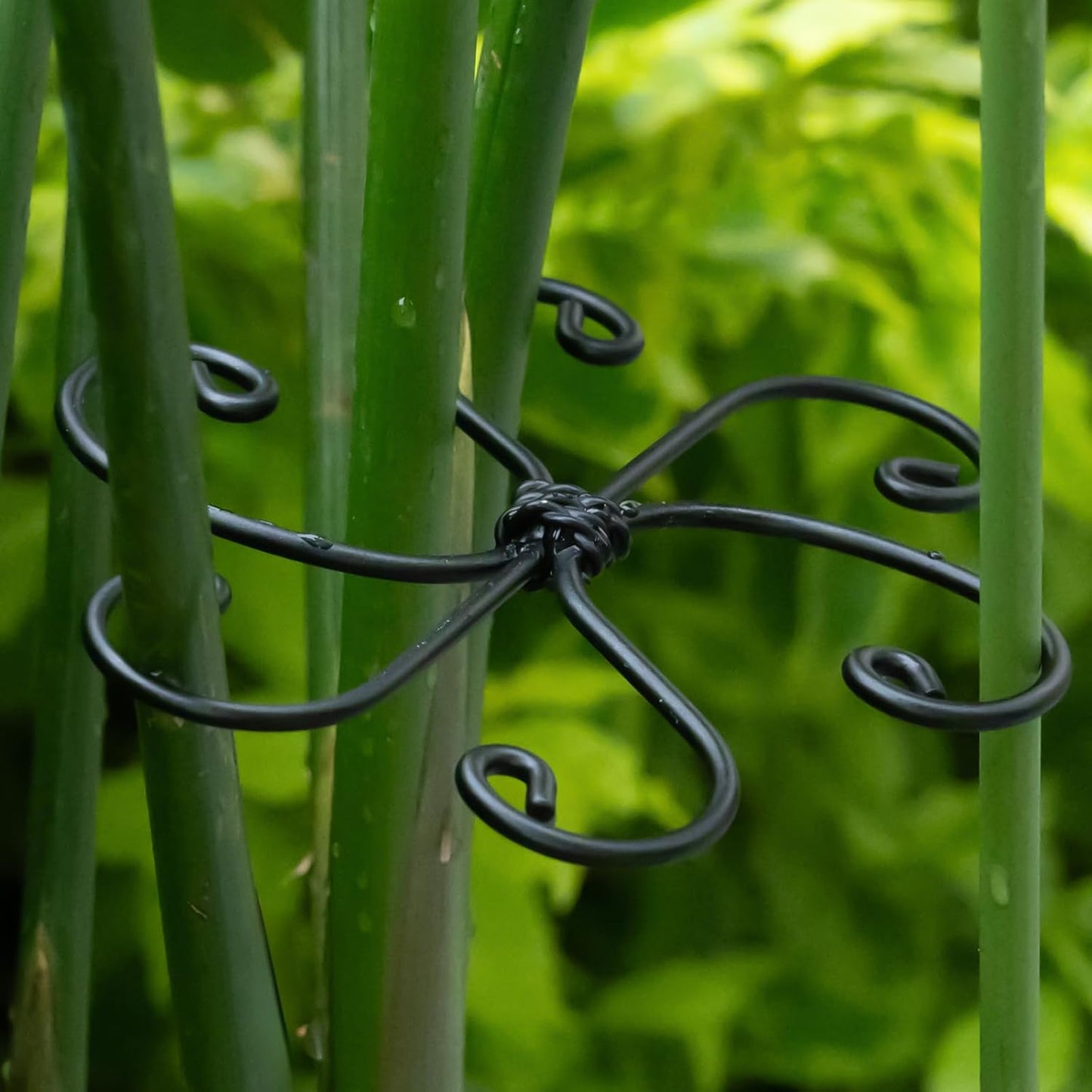 Monstera Plant Support Hook - 4.1x4.1IN 5PCS, Durable Adjustable Stem Support System, Gentle Protection for Monstera and Fishbone Cactus, Professional Indoor Plant Stabilizer-VerdiqueGarden