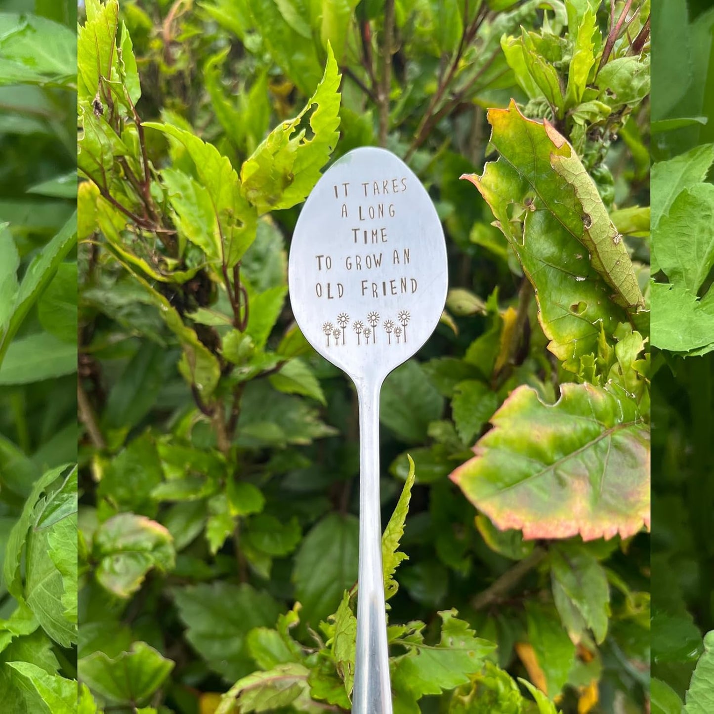 Garden Friendship Gift for Women Gardeners, Plant Marker Stake Label Sign Tag, Gardening Gifts for Woman Plant Lovers, Metal Garden Decoration (Grow an Old Friend-B)-VerdiqueGarden