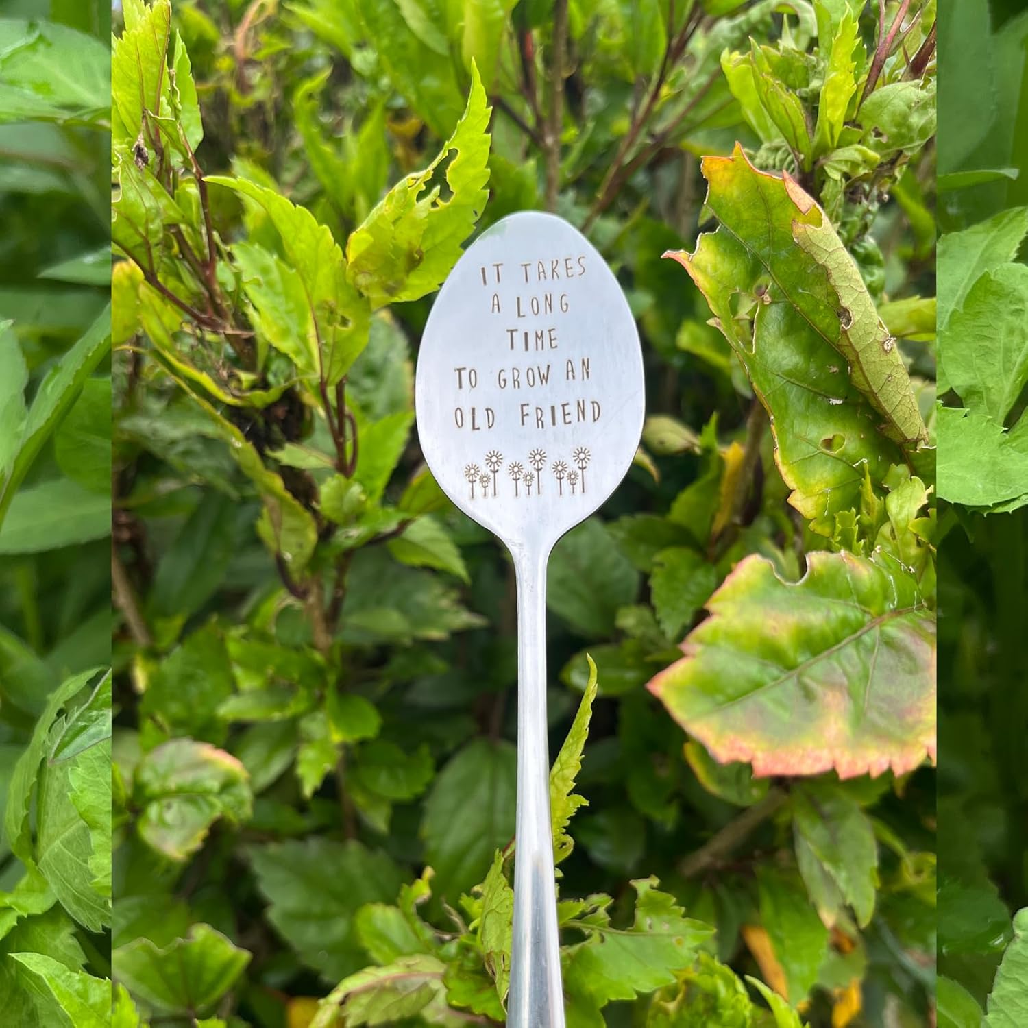 Garden Friendship Gift for Women Gardeners, Plant Marker Stake Label Sign Tag, Gardening Gifts for Woman Plant Lovers, Metal Garden Decoration (Grow an Old Friend-B)-VerdiqueGarden