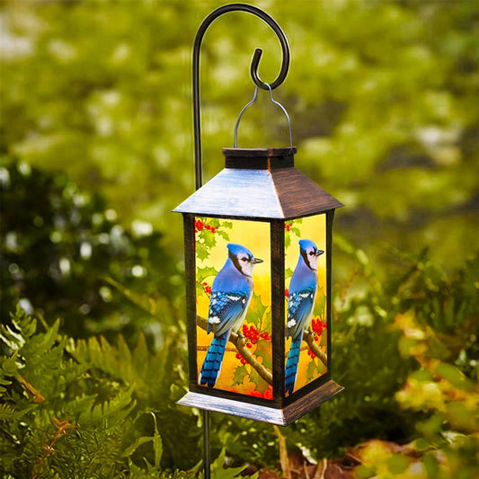 Solar Lanterns Outdoor Hanging Blue Jay Solar Lights Decorative for Garden Patio Porch and Tabletop PVC Waterproof LED Lantern (1pack)…-VerdiqueGarden
