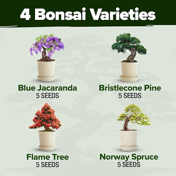 HOME GROWN Bonsai Tree Kit, Grow Your Own: Premium 4 Bonsai Trees Starter Kit | Unique Japanese Gardening Gift for Moms, Women, Men, Beginners & Gardeners | Creative Crafts for Adults BK1-2nd-MF-VerdiqueGarden