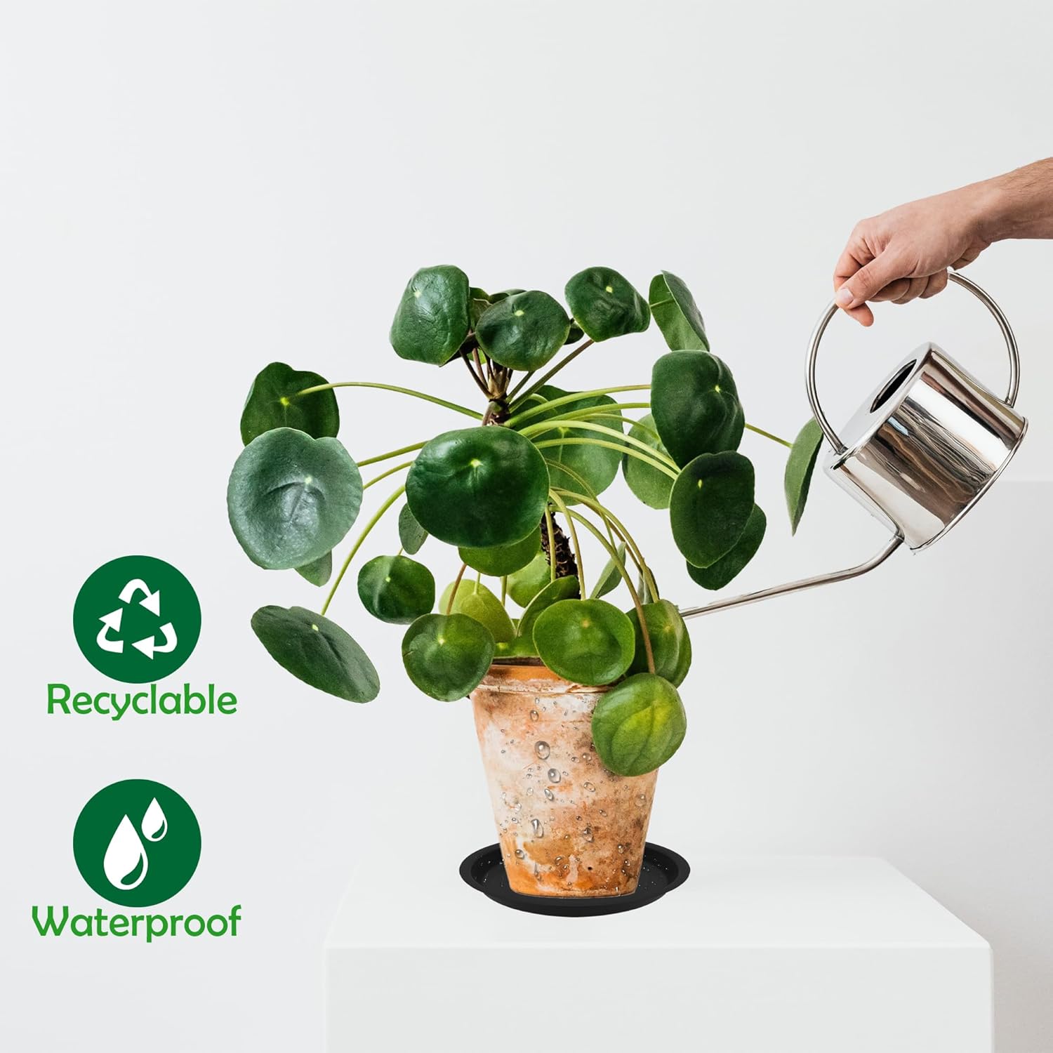 12 Pack 6 Inch Round Plant Saucers for Less 5 Inch Pot Indoors Outdoors Plant Trays for Pots Planter Saucer Plastic Plant Drip Tray Flower Planter Water Tray for Potted Plant (Black, 6"(12pcs))-VerdiqueGarden