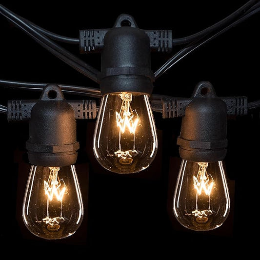 Hometown Evolution, Inc. 100 Foot Commercial Grade Outdoor String Lights (100 Foot 50 Socket, S14 11 Watt Clear Light Bulbs)-VerdiqueGarden