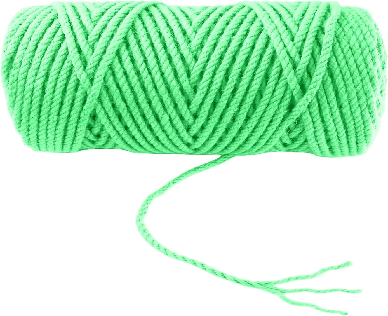 4mm x 100 Feet Light Green Jute Rope, Twine for Gardening Tomato Climbing Plant Tie Floristry Crafts Gift Wrapping Packing Decor-VerdiqueGarden