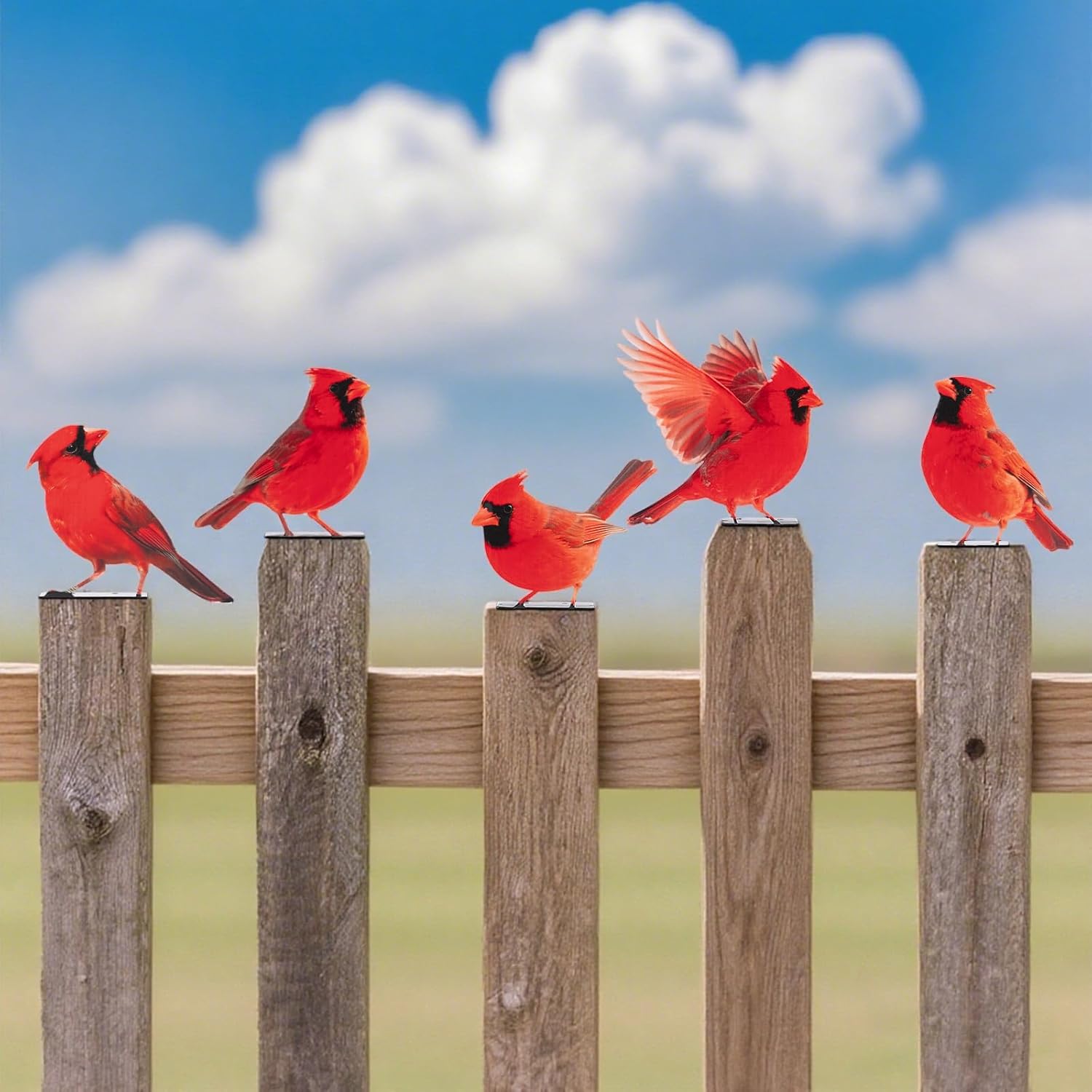 HUYIENO 5PCS Vivid Metal Birds Fence Decor Color Painted Outdoor Garden Natural Bird 2D Sculptures for Outdoor Fences, Patio, Garden and Bird Lovers (Cardinal)-VerdiqueGarden