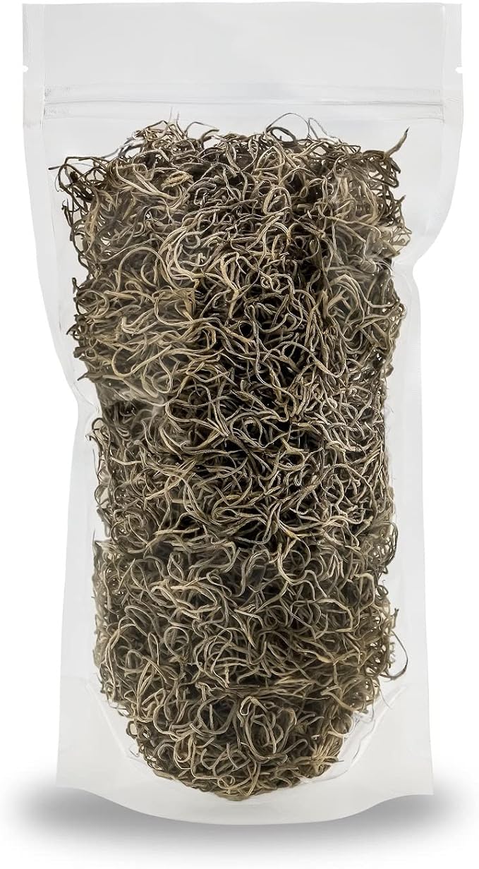 Premium Natural Spanish Moss | Natural Preserved - Great Ground Cover - Filler for Potted Plants - by GARDENERA - 1 Quart Bag-VerdiqueGarden