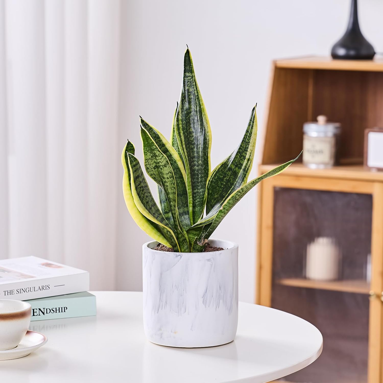 Ekirlin 6 Inch Resin Plant Pot Indoor - Natural Marble Texture Garden Planter with Drainage Hole, Removable Rubber Stopper and Non-Slip Soft Pad, Modern Succulents Containers for Home, Outdoor-VerdiqueGarden