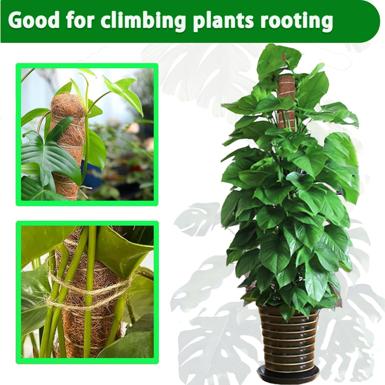 Moss Pole, 4 Pack 17Inch Monstera Plant Support for Climbing Plants Accessories Indoor -Stackable Moss Poles Plant Support Stakes -Coir Plant Pole Sticks for Potted Plants -Pothos, Tall Plant Trellis-VerdiqueGarden