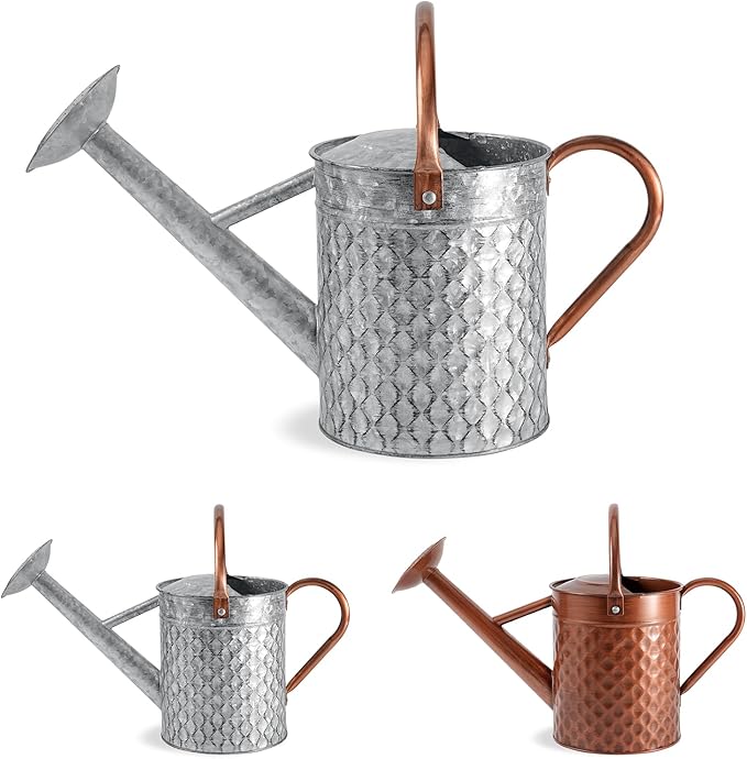 1 Gallon Metal Watering Can for Outdoor Indoor Plants, Galvanized Watering Can with Removable Spray Spout, Ideal for Garden Watering-VerdiqueGarden