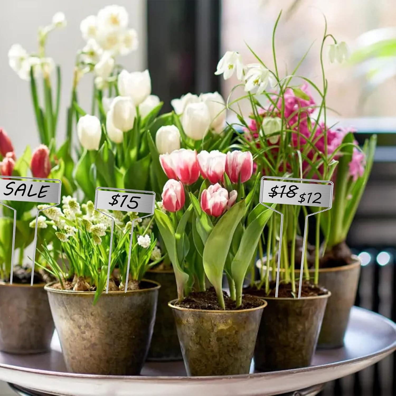 30pcs Plant Labels Plant Markers for Outdoor Plants 6inch Plant Labels for Seedlings Outdoor Garden Waterproof Plant Tags and Labels for Flower Vegetable Herbs Greenhouse (6 in, Silver)-VerdiqueGarden