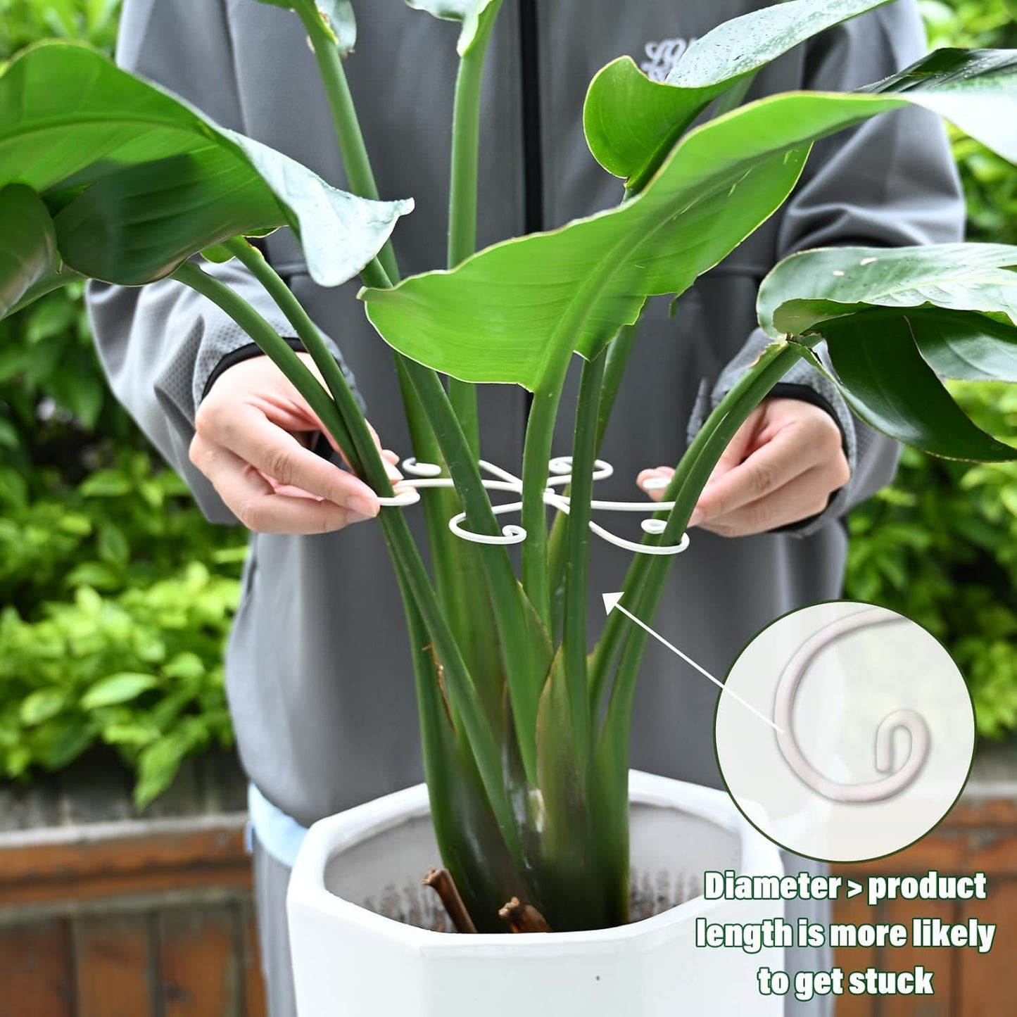 6.5 * 6.5in Monstera Plant Support Hook 5PCS - Durable Stabilizer & Leaf Holder for Indoor Plants, Flexible Installation & Soft Grip Design - Perfect for Fishbone Cactus and Other Houseplants-VerdiqueGarden