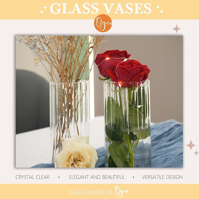 12pcs Glass Vase Cylinder Vases for Centerpieces Small Flower Glass Vases Bud Vases Home Decor Centerpiece Table Flower Vase Decorations for Office Beautification＆Holiday 6 Inch Tall-VerdiqueGarden