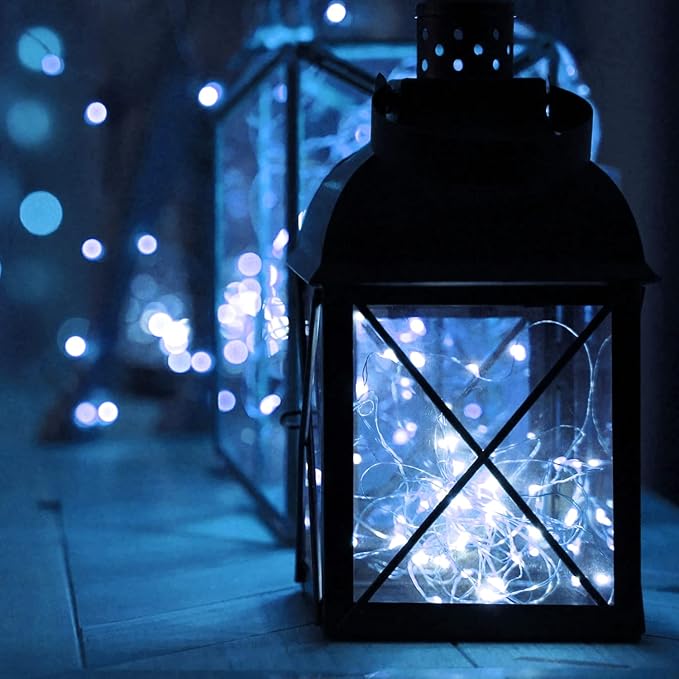 Homemory 4 Pack 20 Ft 60 LED Fairy Lights Battery Operated String Lights with Remote Waterproof 8 Modes Firefly Twinkle Christmas Lights for Party Bedroom Wedding Decorations(Cool White)-VerdiqueGarden