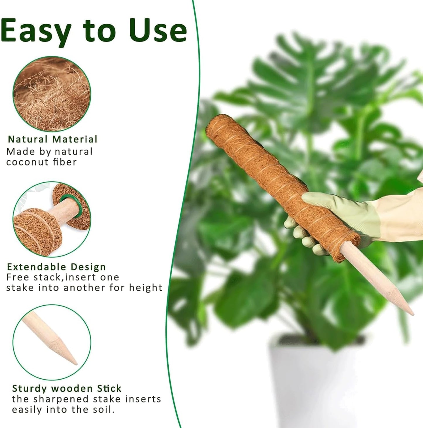 Moss Pole, 2Pack 21 Inch Plant Support Stakes for Indoor Plants, Monstera Plant Support Stakes, 37 Inch Tall Coir Plant Pole Sticks for Potted Plants, Pothos, Philodendron-VerdiqueGarden
