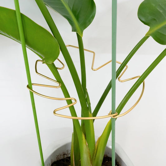 5PCS Durable Monstera Plant Stem Support Stake with Adjustable Leaf Holders - Plant Support Kit for Indoor Botanicals, Cactus Stabilizers, and Turtle Shell Climbers - Ideal for Plant Enthusiasts-VerdiqueGarden