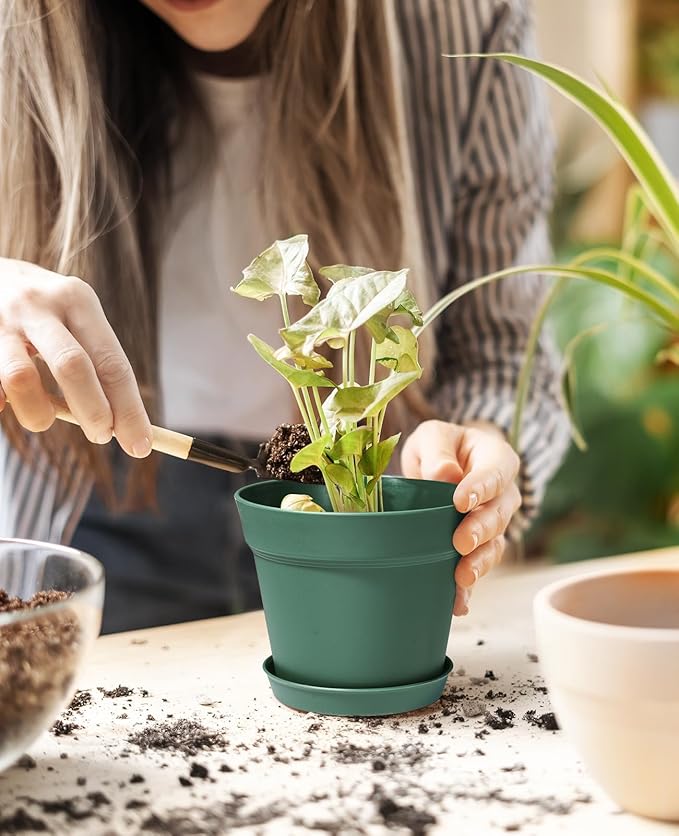 Homenote Plant Pots,15 Pack 6 inch Flower Pots with Multiple Drainage Holes and Saucers,Plastic Planters for All Home Garden Flowers Succulents(Green)-VerdiqueGarden