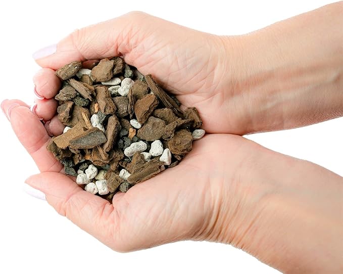 Premium African Violets and Gesneriad Premium Soil Mix by Gardenera - Horticultural Perlite (25%) + Vermiculite (25%) + Sphagnum Peat Moss (50%) - Made in USA - (1 Quart Bag)-VerdiqueGarden