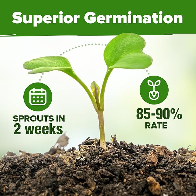 HOME GROWN 25 Herb Seeds for Planting 8,700+ Non-GMO Heirloom Seeds | Extra Large Variety Pack Herb Kit – Indoor Outdoor & Hydroponic | Culinary Seed Set | Grow Your Own Herbs | Gardening Gift-VerdiqueGarden