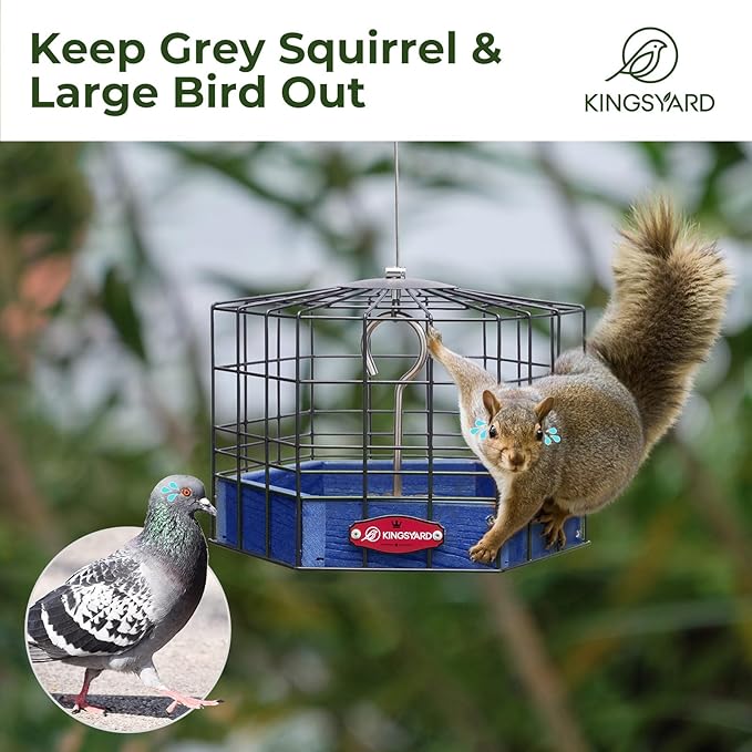 Kingsyard Squirrel Proof Platform Bird Feeder for Outdoor Hanging, Caged Bird Feeder for Bluebird Mealworm, Recycled Plastic Feeding Platform with Metal Mesh Tray, Special for Small Birds, Blue-VerdiqueGarden