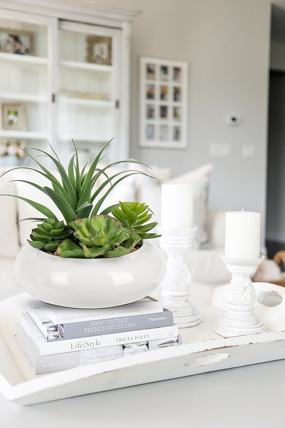 Large Artificial Succulents Plants Faux Succulents in Pots Fake Succulent Arrangement Potted Plants with White Ceramic Pot for Office Desk Bathroom Shelf Living Room Indoor & Outdoor Home Decor-VerdiqueGarden