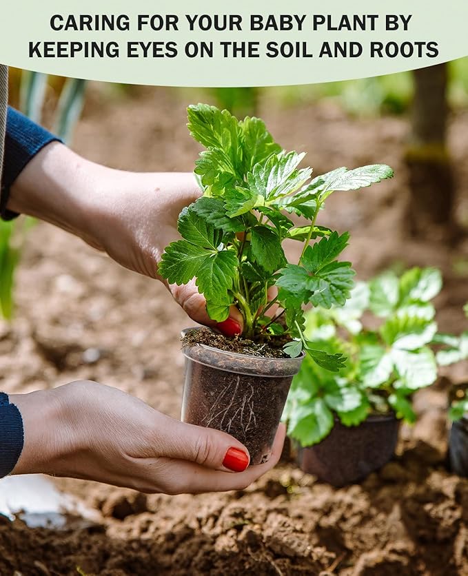 homenote Clear Nursery Pots for Plants,3 Inch Plant Pot for Planting Plastic Seedling with Drainage Holes Seed Starter Flower High Transparency with 20 Labels (60 Pack)-VerdiqueGarden