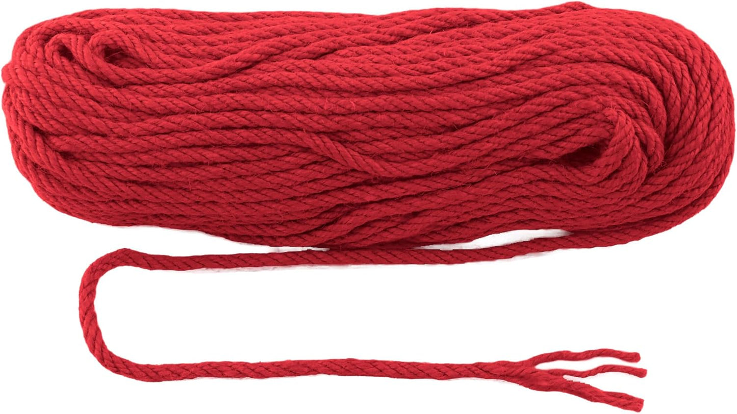 6mm x 150 Feet Red Jute Rope, Twine for Gardening Tomato Climbing Plant Tie Floristry Crafts Gift Wrapping Packing Decor-VerdiqueGarden
