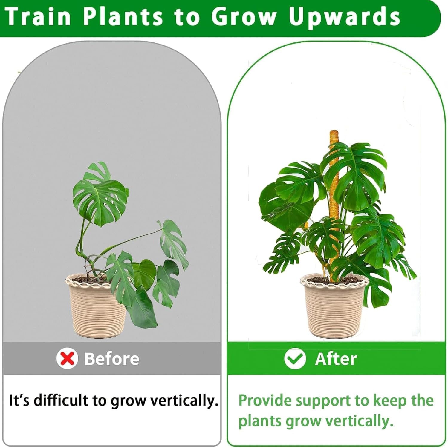 Moss Pole, 4Pack 21 Inch Plant Support Stakes for Indoor Plants, Monstera Plant Support Stakes, 69 Inch Tall Coir Plant Pole Sticks for Potted Plants, Pothos, Philodendron, Climbing Plants Accessories-VerdiqueGarden