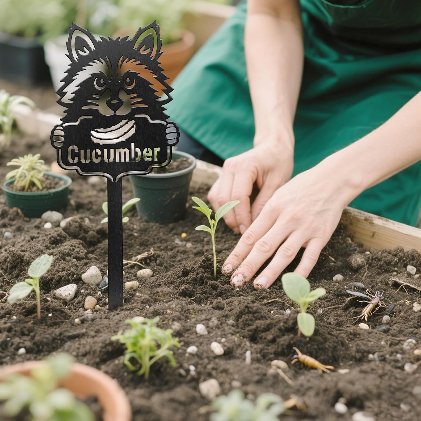 CUTHOLLOW Metal Plant Marker Stake Cucumber and Raccoon for Outdoor Indoor, Waterproof 11.8 inch Cute Garden Plant Labels Sign Tag for Vegetables, Farmhouse Greenhouse Decor - Funny Gardening Gifts-VerdiqueGarden