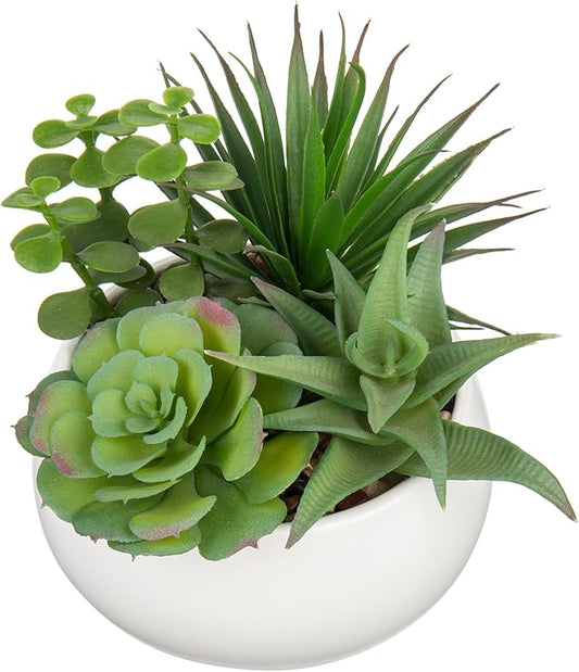 Fake Plants Artificial Succulents in Pots Faux Succulent Arrangement Potted Plant with White Ceramic Pot for Home Decor Modern Office Desk Bathroom Shelf Living Room Indoor Decoration-VerdiqueGarden