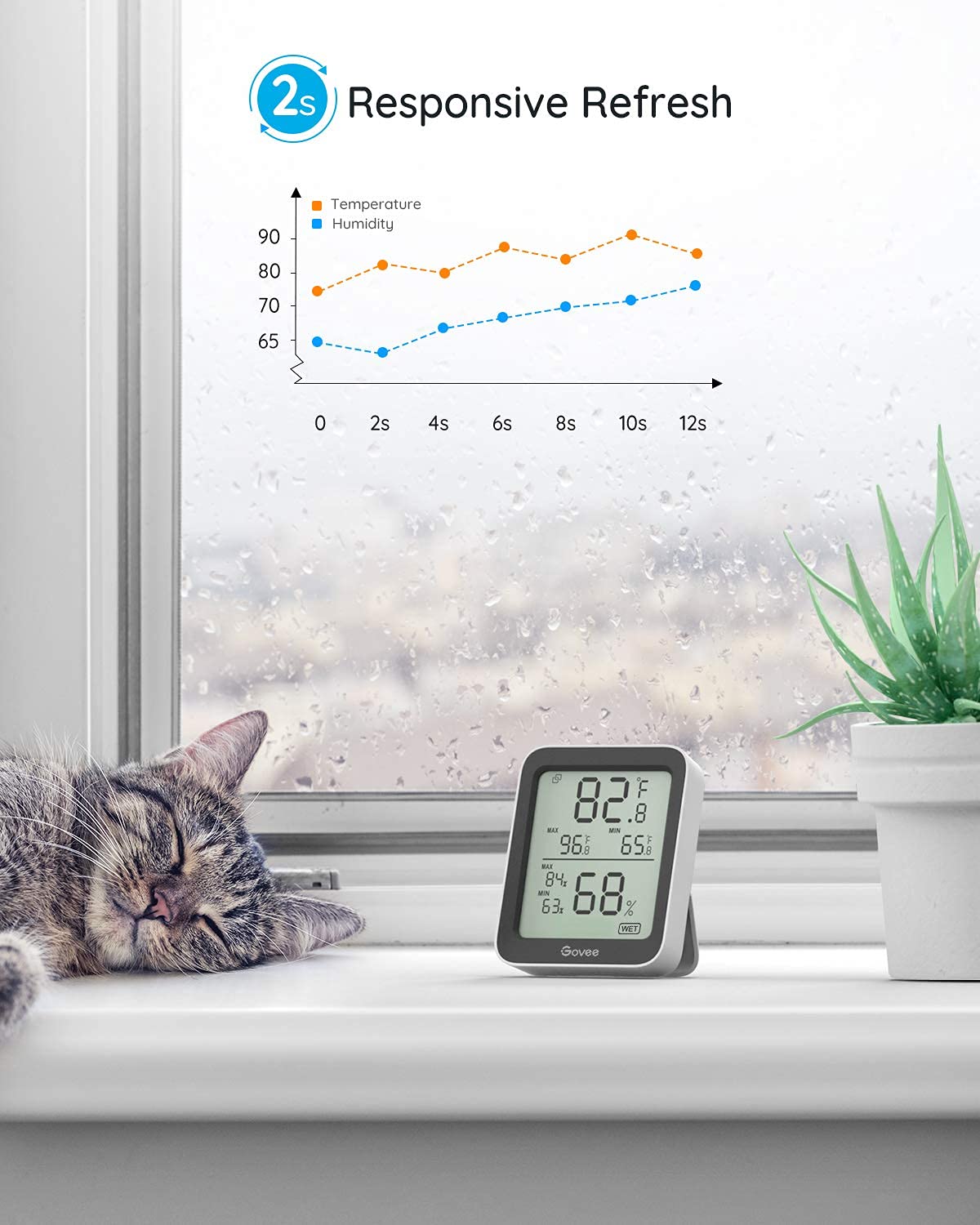 Govee Bluetooth Hygrometer Thermometer, Large LCD, Max/Min Records, 2-Year Data Storage - Black, 2 Pack-VerdiqueGarden