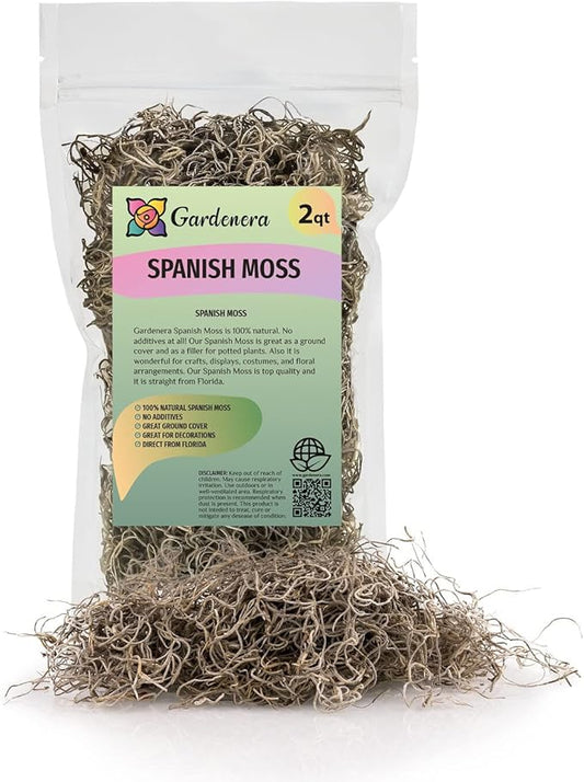 Premium Natural Spanish Moss | Natural Preserved - Great Ground Cover - Filler for Potted Plants - by GARDENERA - 2 Quart Bag-VerdiqueGarden