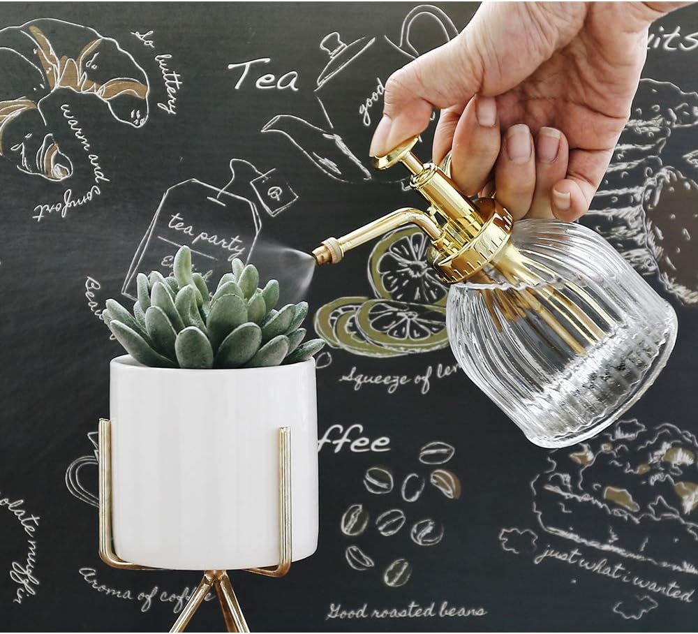 Glass Plant Mister Spray Bottle, Vintage Plant Water Spritzer, Succulent Watering Bottle with Gold Top Pump, Decorative Glass Sprayer Mister Small Watering Can for Indoor Houseplant - Clear-VerdiqueGarden