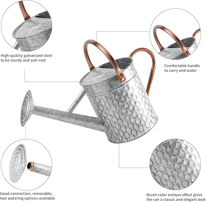 1 Gallon Metal Watering Can for Outdoor Indoor Plants, Galvanized Watering Can with Removable Spray Spout, Ideal for Garden Watering-VerdiqueGarden