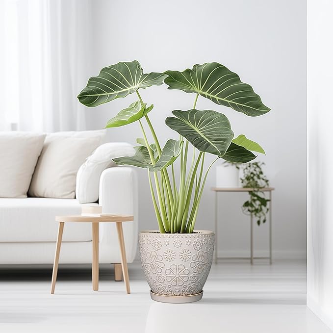 10 Inch Ceramic Planter Pot Large Plant Pot for Indoor Plants Outdoor Round Flower Pot with Drainage Hole and Saucer for Home Garden Decor White-VerdiqueGarden