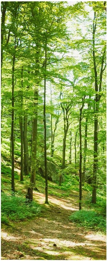 3D Door Wallpaper Self-Adhesive Door Sticker - Forest - Door Poster Premium PVC Waterproof Wall Sticker for Bedroom Living Room Door Decoration Wallpaper 95 x 215 cm-VerdiqueGarden