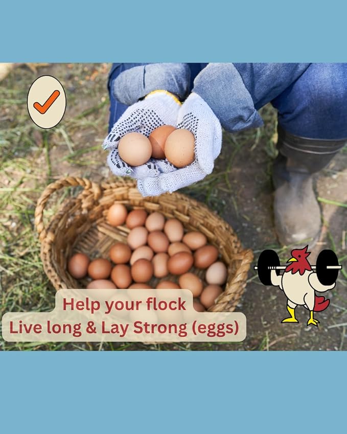LitChicks’ Calcified Seaweed for Laying Chickens - Crushed Oyster Shell Alternative - Highly Digestible - Single Ingredient - Helps with Egg Laying & Flock Health.-VerdiqueGarden