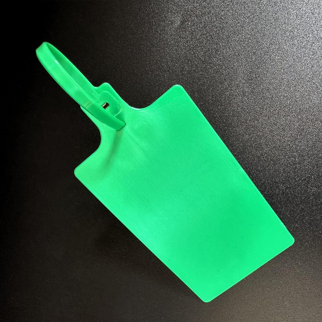 Blank Waterproof Plastic Tags Marker Ties Large Labeling Tags 2.28"×3.94" Green 100 pcs per Bag-VerdiqueGarden