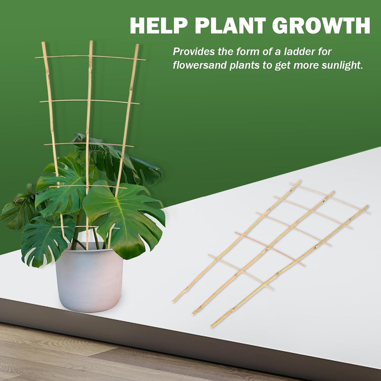 3PCS Fan-Shaped Bamboo Trellis, 2Ft Plant Trellis Indoor, Small Trellis for Potted Plants Indoor, Climbing Plants, Vegetables-VerdiqueGarden