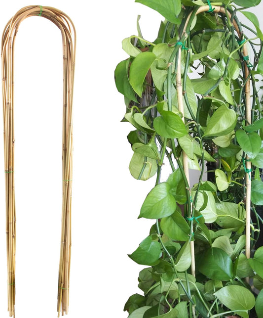 Avalution 10 Pcs Natural U-Hoops Bamboo Garden Trellis, 4 Ft Bamboo Trellis U-Shape Plant Support for Climbing Plants Indoor and Outdoor Use-VerdiqueGarden