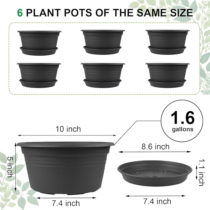 6 Pack 10 inch Plant Pot, Round Plastic Plant Pots, Outdoor Pots for Plants with Drainage Hole & Tray Saucer, Decoration Flower Pots for Indoor Plants Home Garden Outdoor Planters (Grey)-VerdiqueGarden
