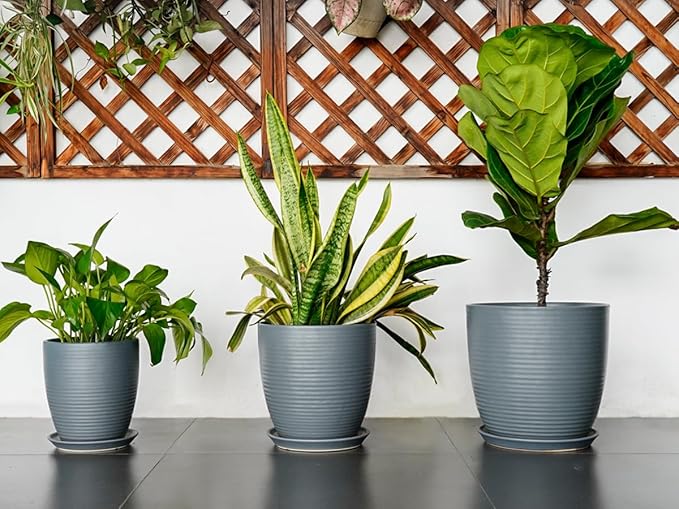 10 Inch Ceramic Planter Round Plant Pots for Plants Indoor Outdoor Glaze Large Flower Pot with Drainage Hole and Saucer Gray-VerdiqueGarden
