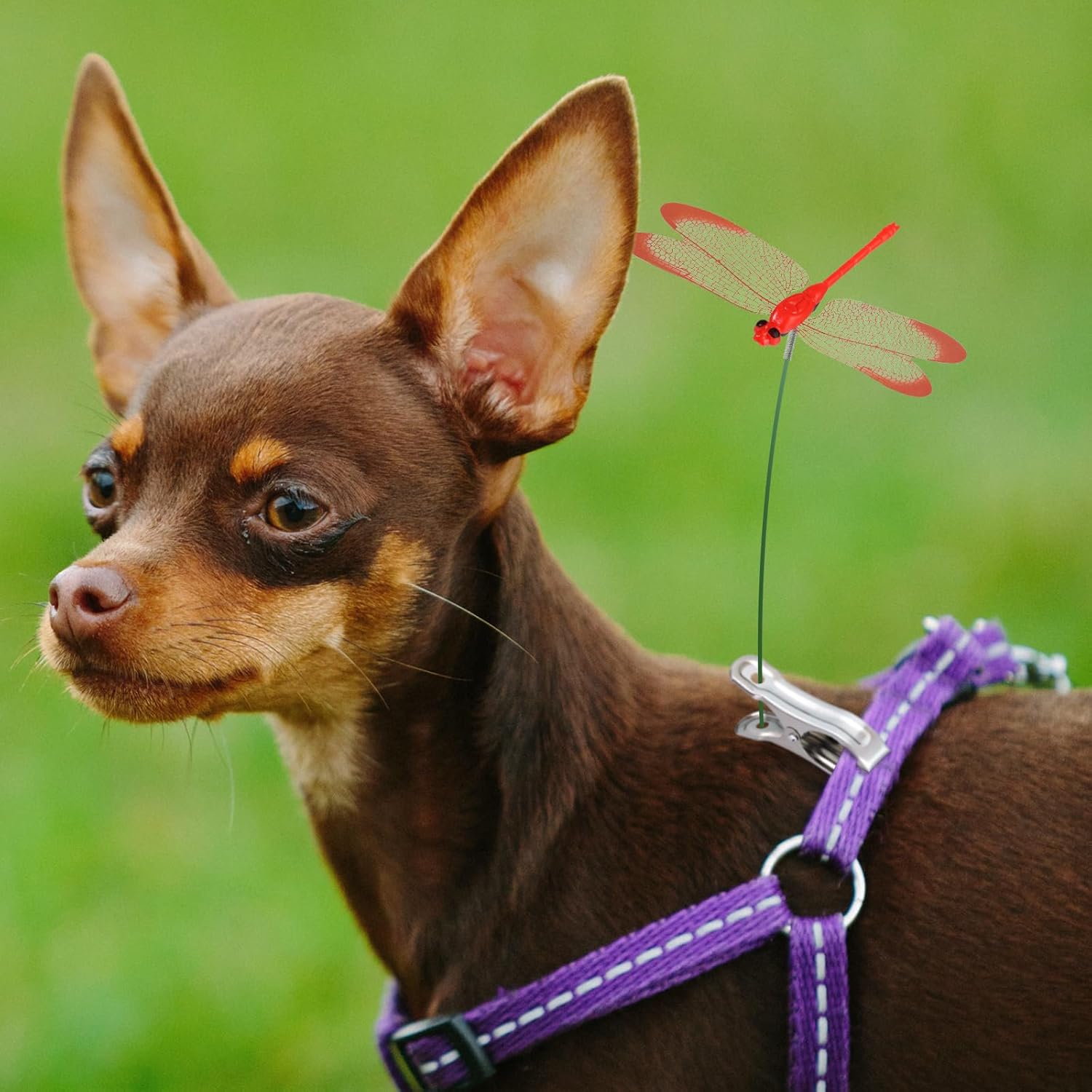 NiHome 15PCS Decorative Dragonflies with 10 Clips Decor for Garden, 9.8" Long Multicolor Waterproof Outdoor & Indoor Use, Versatile Clip-On Plant Decoration, Includes Pliers for Easy Attachment-VerdiqueGarden