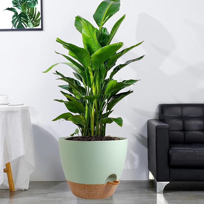 12 inch Large Self Watering Pots, Plastic Planters with 60oZ Removable Deep Reservoir and Multi Mesh Drainage Holes for Indoor Outdoor Garden Plants and Flowers, Green with Brown-VerdiqueGarden