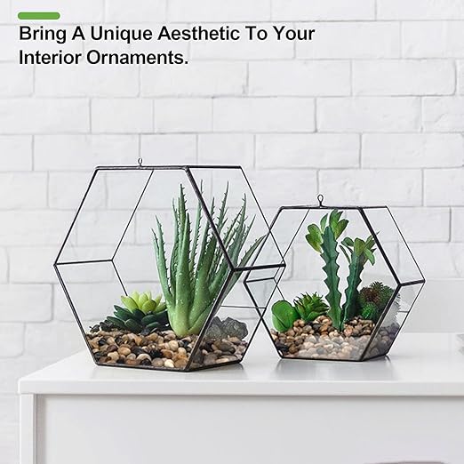 10 lbs Pebbles for Indoor Plants, Succulent, Bamboo, Vase, 3/8" Plant Rocks for Pots Indoor, Small River Rocks Decorative Pea Gravel, Highly Polished-VerdiqueGarden