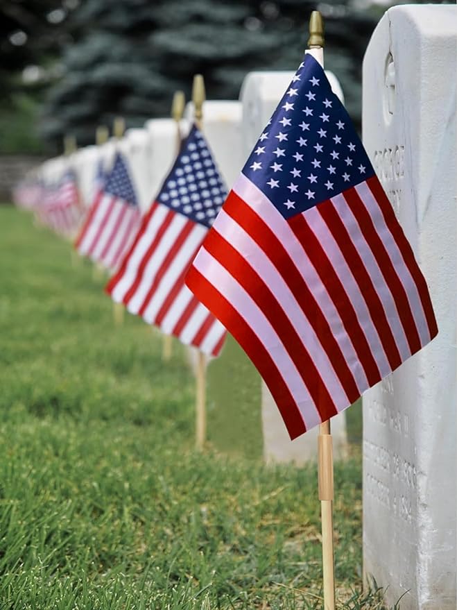 12 Pack 12x18 Inch American Flags for Outside, US Flags with Kid-Safe Spear Top ,American Flags on Stick, Patriotic Decorations,Perfect for Flag Day, Memorial Day, Independence Day Patriotic Holiday Yard Garden Flags-VerdiqueGarden