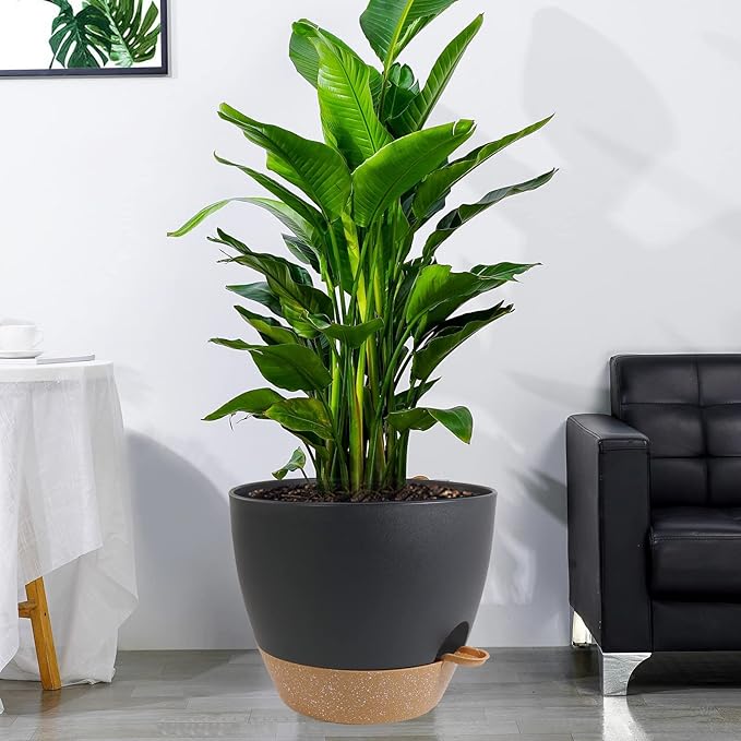 12 inch Large Self Watering Pots, Plastic Planters with 60oZ Removable Deep Reservoir and Multi Mesh Drainage Holes for Indoor Outdoor Garden Plants and Flowers, Black with Brown-VerdiqueGarden