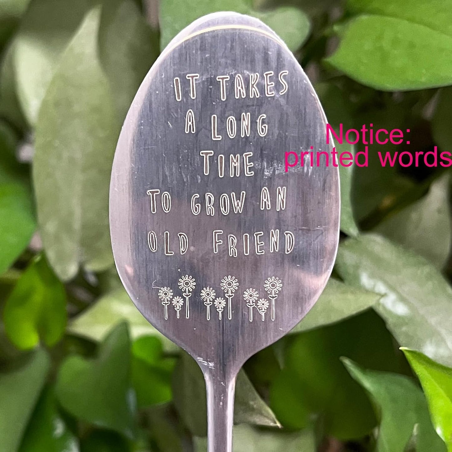 Garden Friendship Gift for Women Gardeners, Plant Marker Stake Label Sign Tag, Gardening Gifts for Woman Plant Lovers, Metal Garden Decoration (Grow an Old Friend-B)-VerdiqueGarden