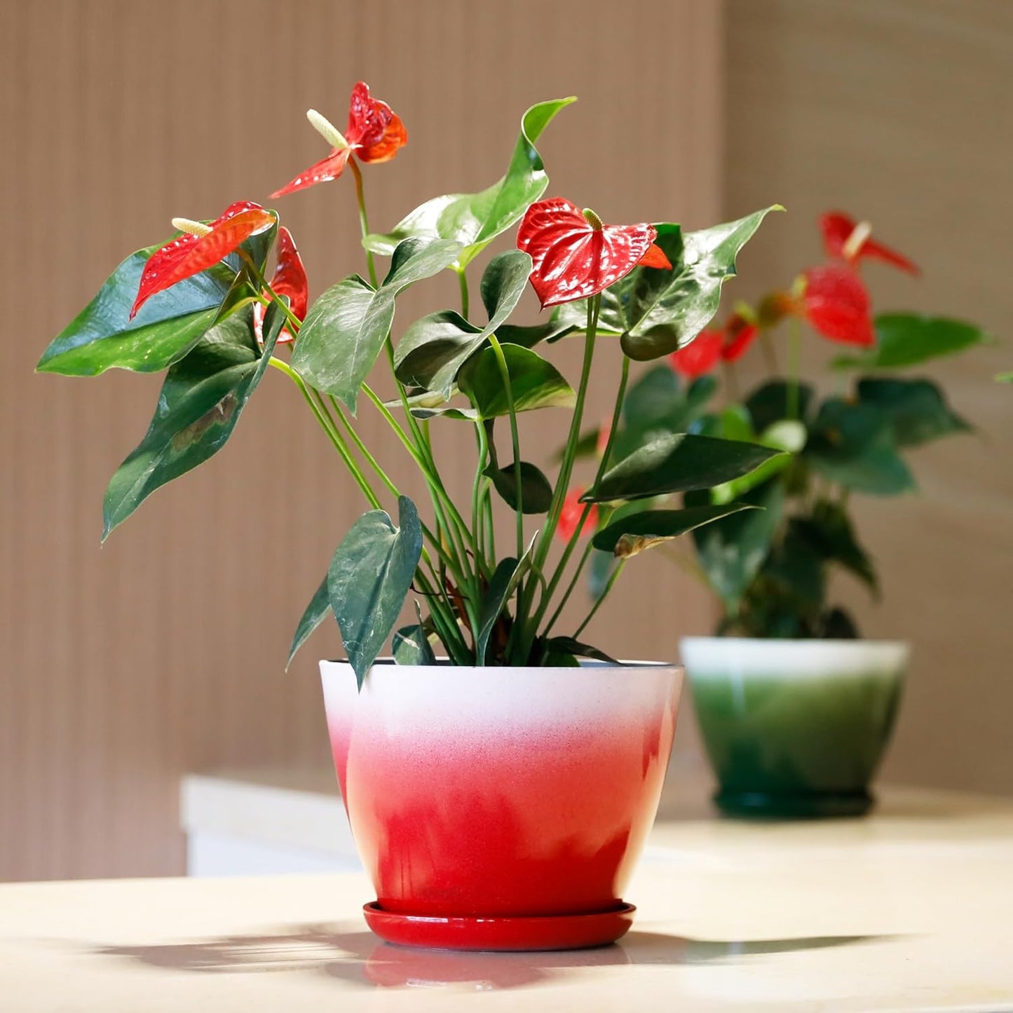 Worth Garden Plastic Round 8" Plant Pots - Set of 6 Multicolor Small Gloss Flower Pot Planters with Drainage Hole and Saucer - Home Decorative Christmas Containers-VerdiqueGarden