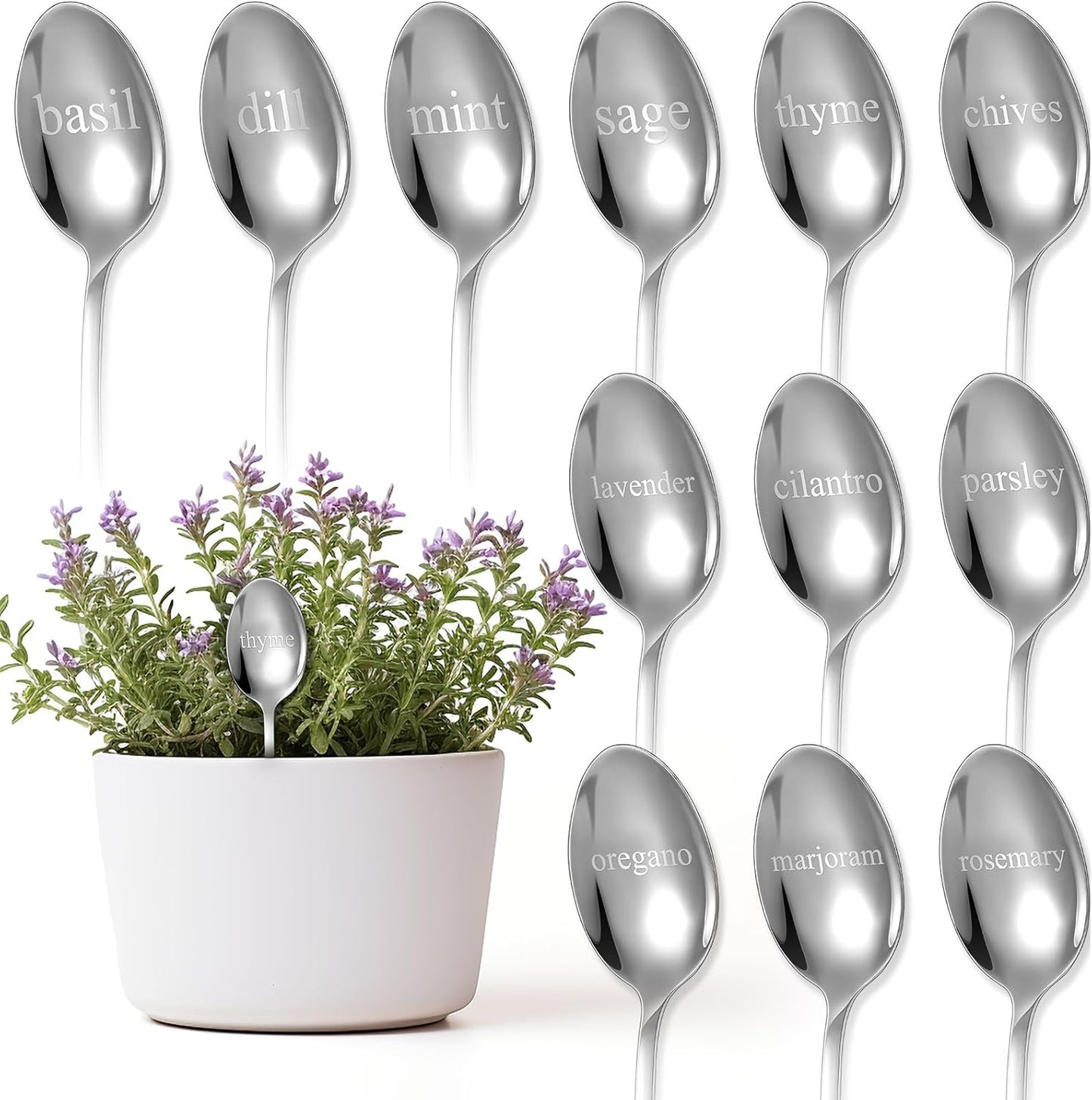 Bucherry 12 Pcs Metal Plant Label Signs, Spoon Shape Planted Herb Markers Garden Labels with Herb Names for Nursery Indoor Outdoor Garden Decoration, Stainless Steel, 12 Styles, 6.8" x 1.4"-VerdiqueGarden
