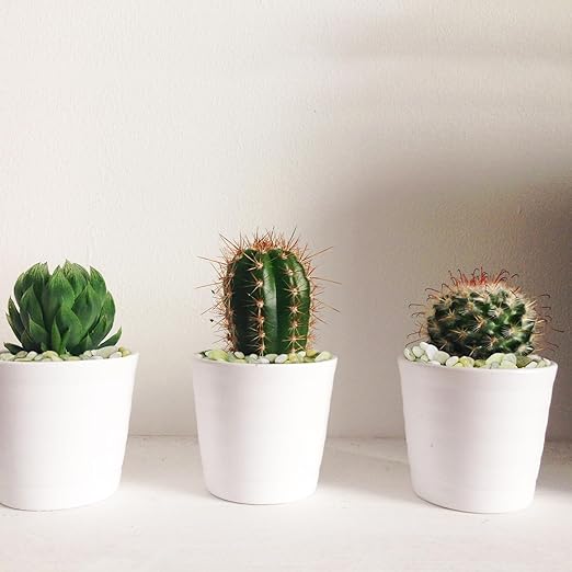 10 lbs Jade Pebbles for Indoor Plants, Decorative Pebbles for Bamboo, Vase, 3/8" Plant Gravel for Pots Indoor, Highly Polished Small River Rocks-VerdiqueGarden